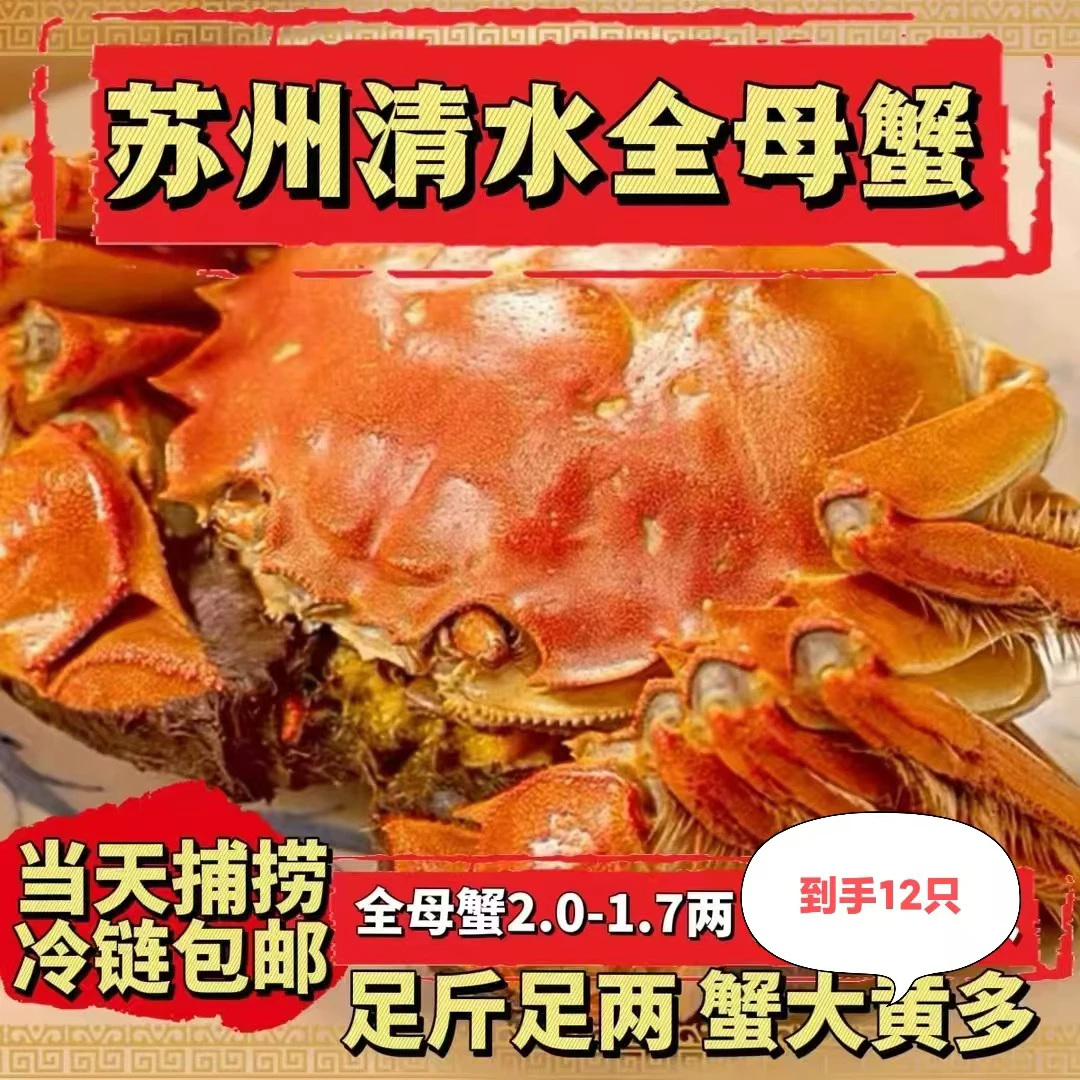G【活蟹】苏州精品苏蟹高标准清水蟹2.0-1.7两母蟹买8送4 到手12只