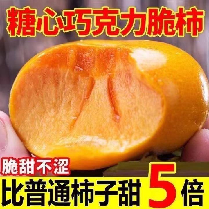 【纯甜脆柿】巧克力脆柿子新鲜水果应季脆甜柿子冰糖心硬柿子整箱