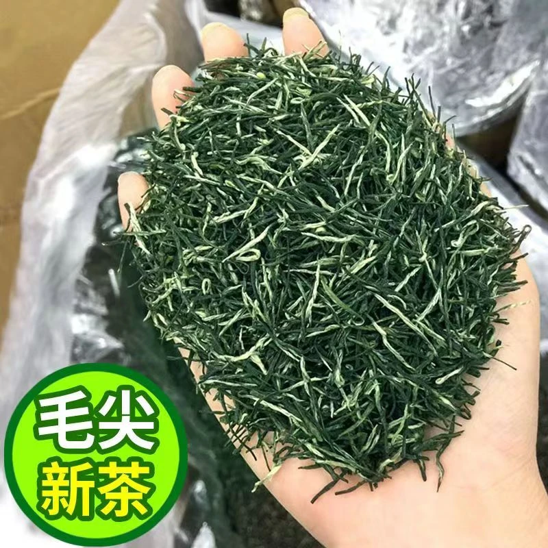 2025直条毛尖绿茶1# 毛尖中段茶叶 贵州湄潭原产地高山绿茶