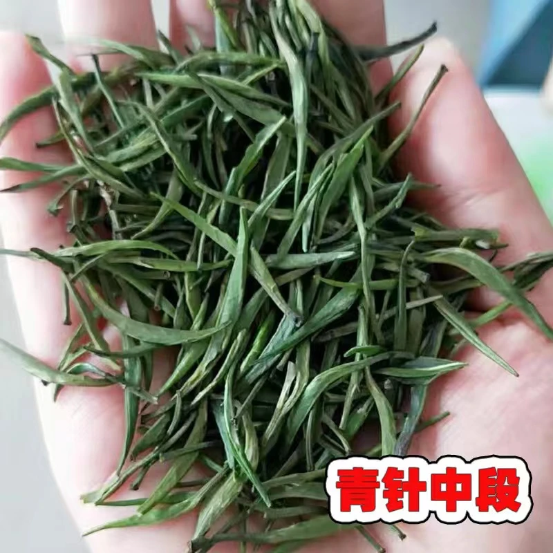 2024雀舌#青针中段#黔湄601茶树#袋装/罐装#多规格