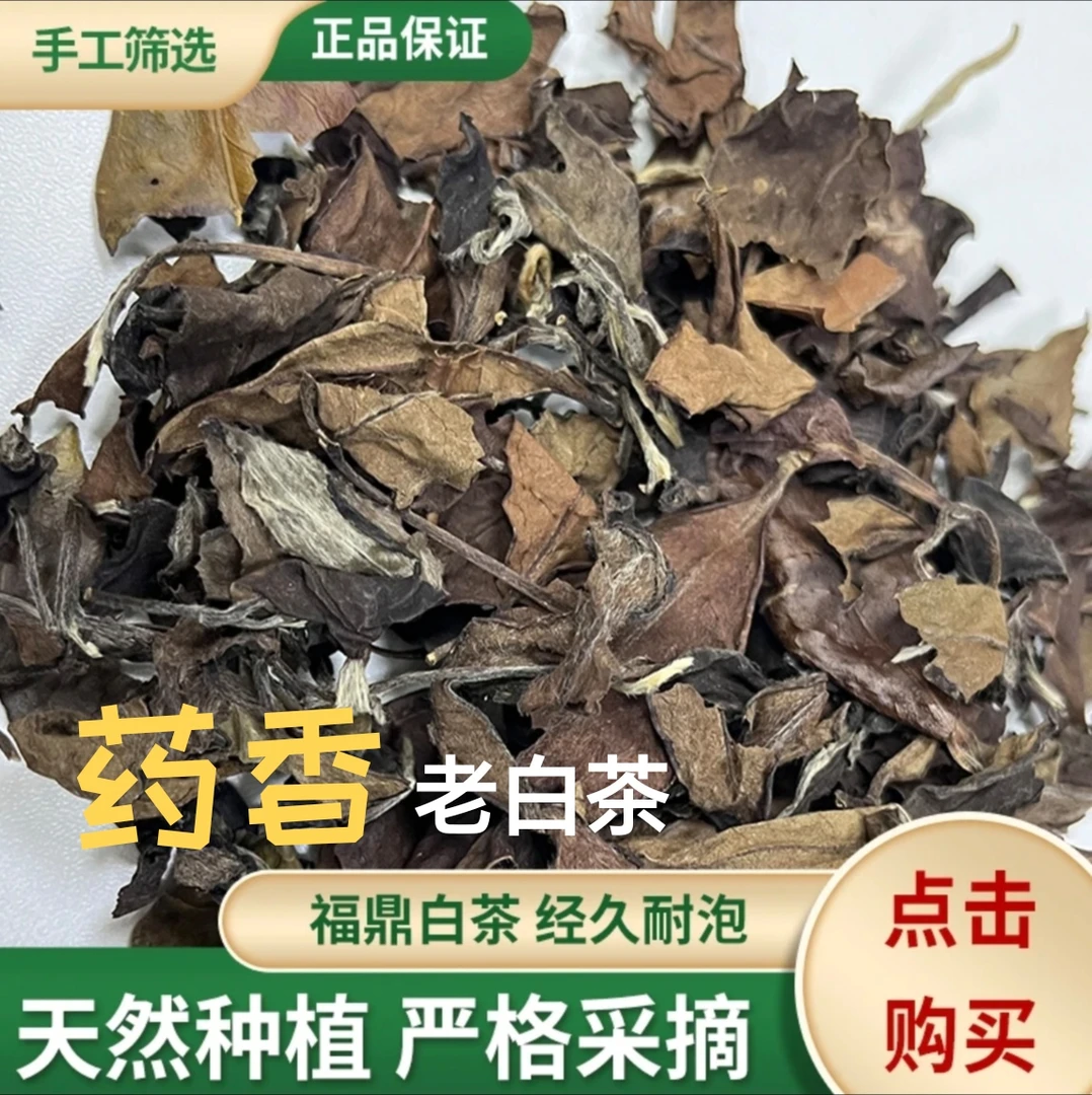 福鼎老白茶 白茶 寿眉 福鼎白茶枣香 茶 药香耐泡500克