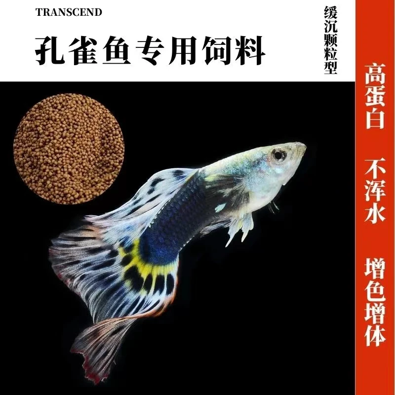 【主播专属】孔雀鱼饲料高蛋白增体增艳三效合一小颗粒缓沉鱼食