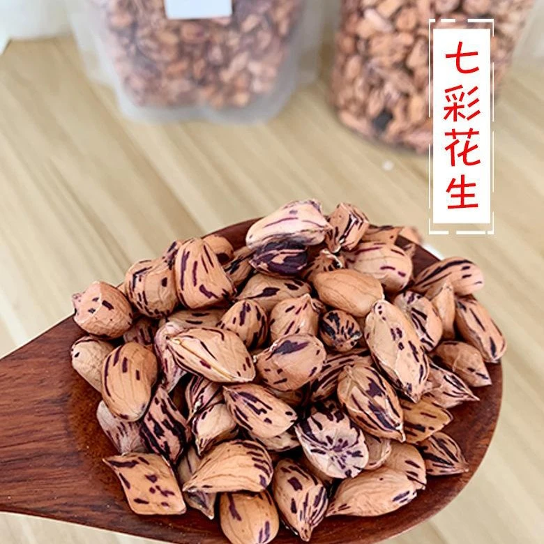 云南山货七彩云南七彩花生松茸菇