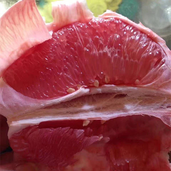 福建琯溪蜜柚平和三红柚红肉当季新鲜水果