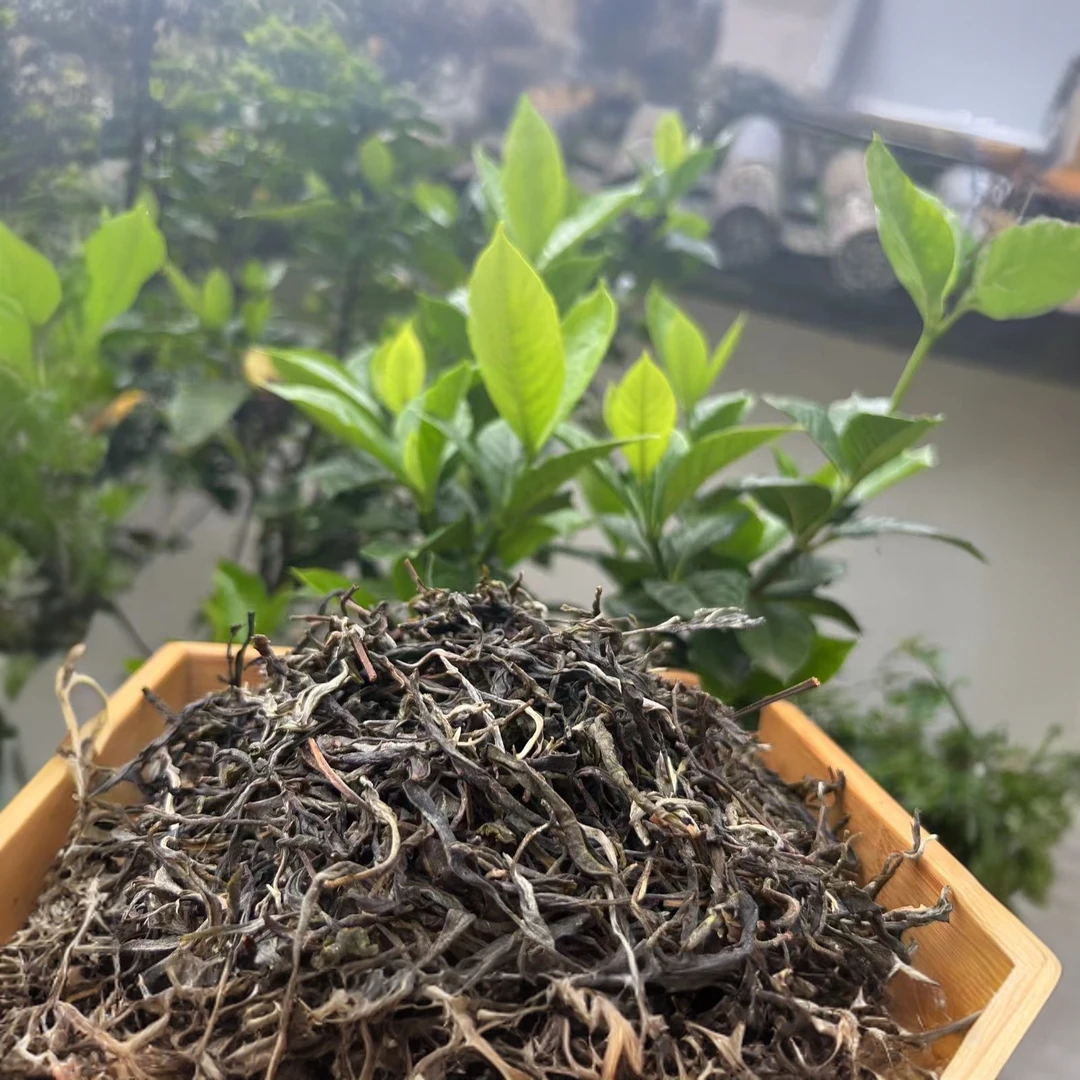 21年 菖蒲堂 头春头采 100克 汤香