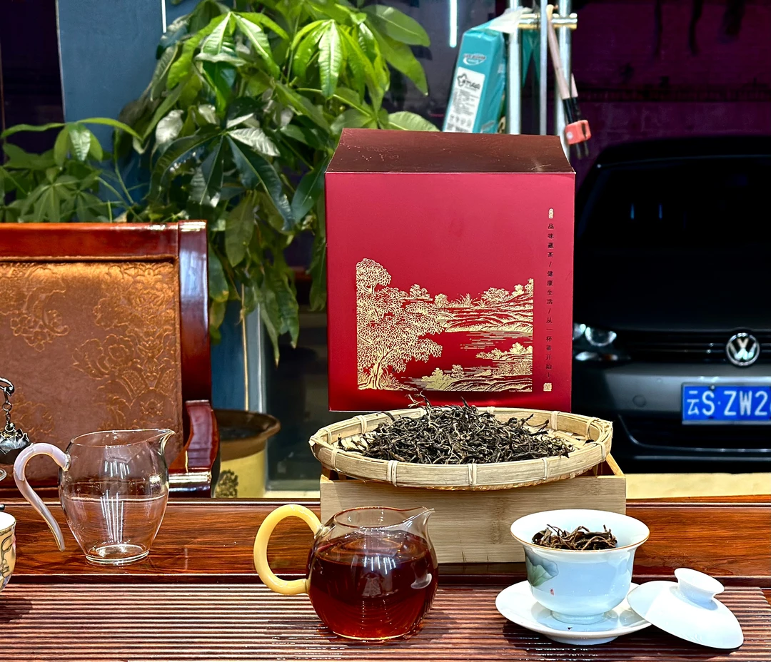 2023年头春头采熟茶 ——散茶