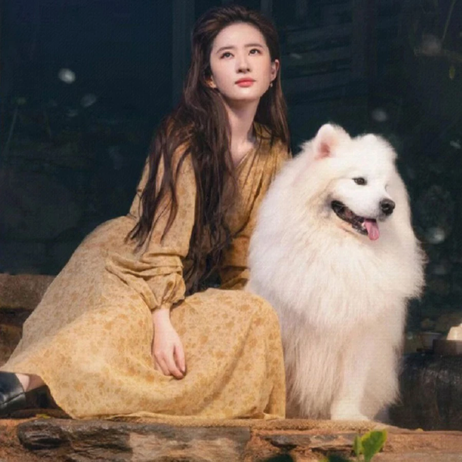 去有风的地方刘亦菲许红豆同款法式V领灯笼袖仙女碎花收腰连衣裙