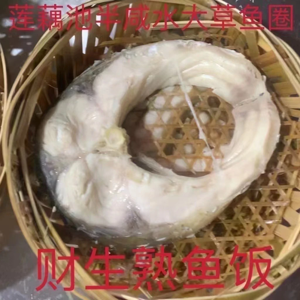 西胪半咸水老草鱼熟鱼饭 顺丰包邮