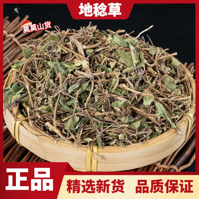 地稔草甄选正品新货地捻草地脚茶地稔根铺地锦地念散装另售益母草