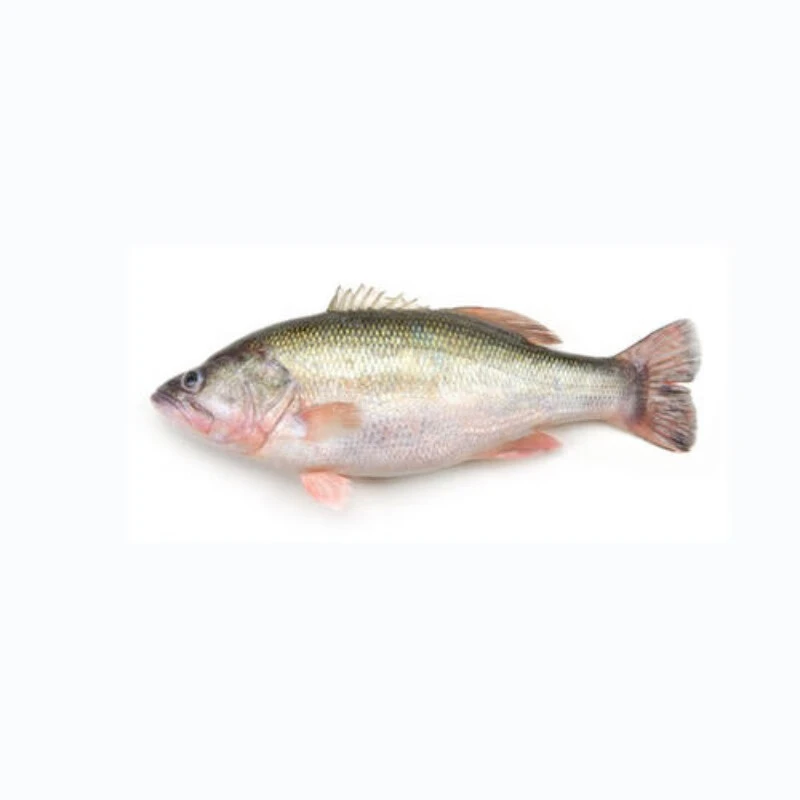 010134鲈鱼  一条约500g  按金额配货(默认宰杀)