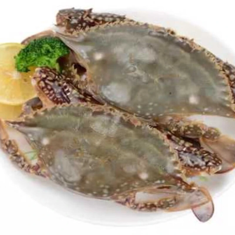 梭子蟹 约500g/份 到家不包活