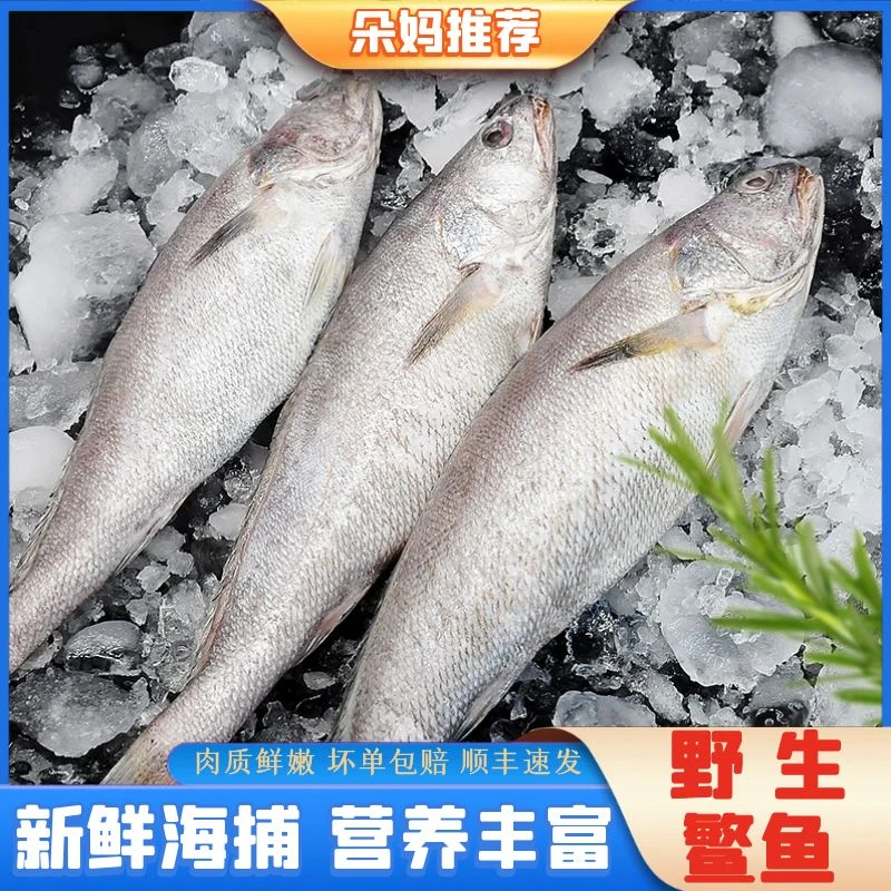 【朵妈推荐】野生鳘鱼去鳞顺丰约6条左右净重5斤