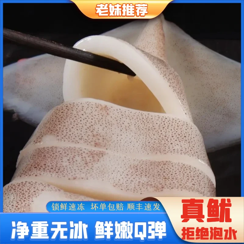【老妹】野生海捕新鲜鱿鱼可以清蒸凉拌的鱿鱼整只火箭铁板5-8条4斤