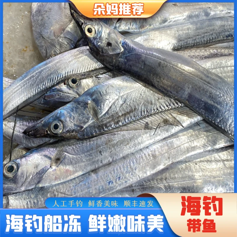 【朵妈推荐】一条5-6两海钓带鱼海钓船冻日照顺丰发货4斤7条左右