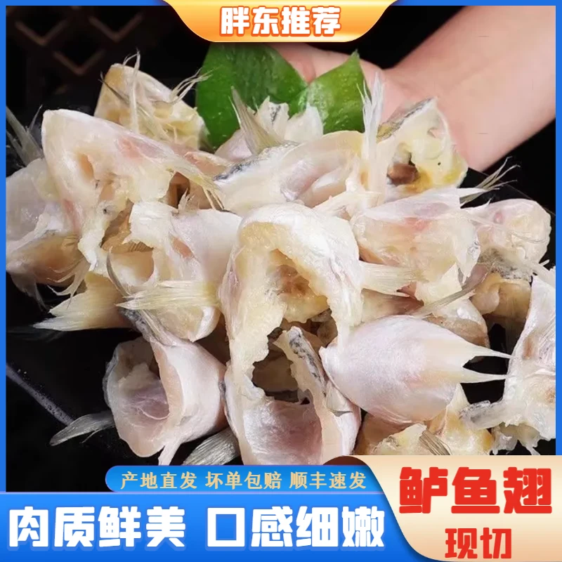 【胖东推荐】新鲜鲈鱼翅新鲜海鲈鱼翅无小刺无乱刺鲜冻250g/包