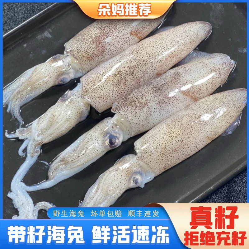 【朵妈海鲜】【真籽海兔】全籽天然籽海兔子满籽笔管鱼籽乌400g/包