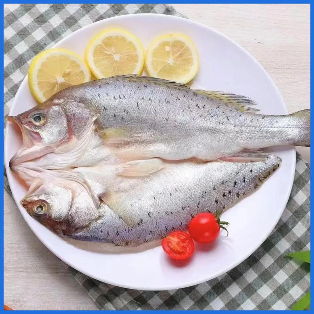 【朵妈海鲜】新鲜开背海鲈鱼免杀免处理400g-500g/条 当季新货4条装