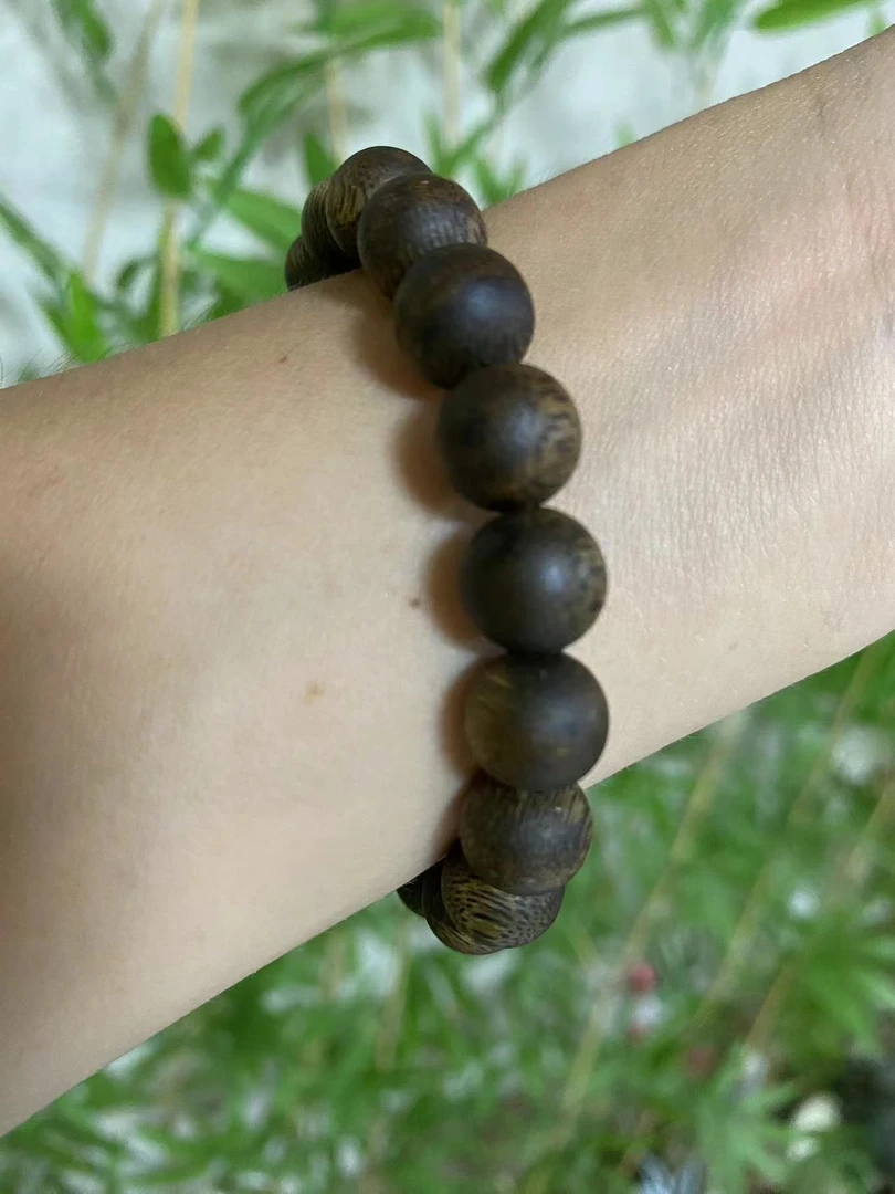 金沙叶品种0.9单圈