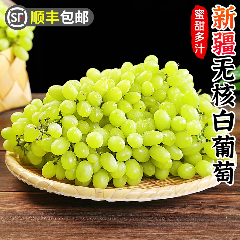 【顺丰包邮】正宗新疆无核白葡萄4.5-5斤无籽葡萄青提新鲜脆甜水果