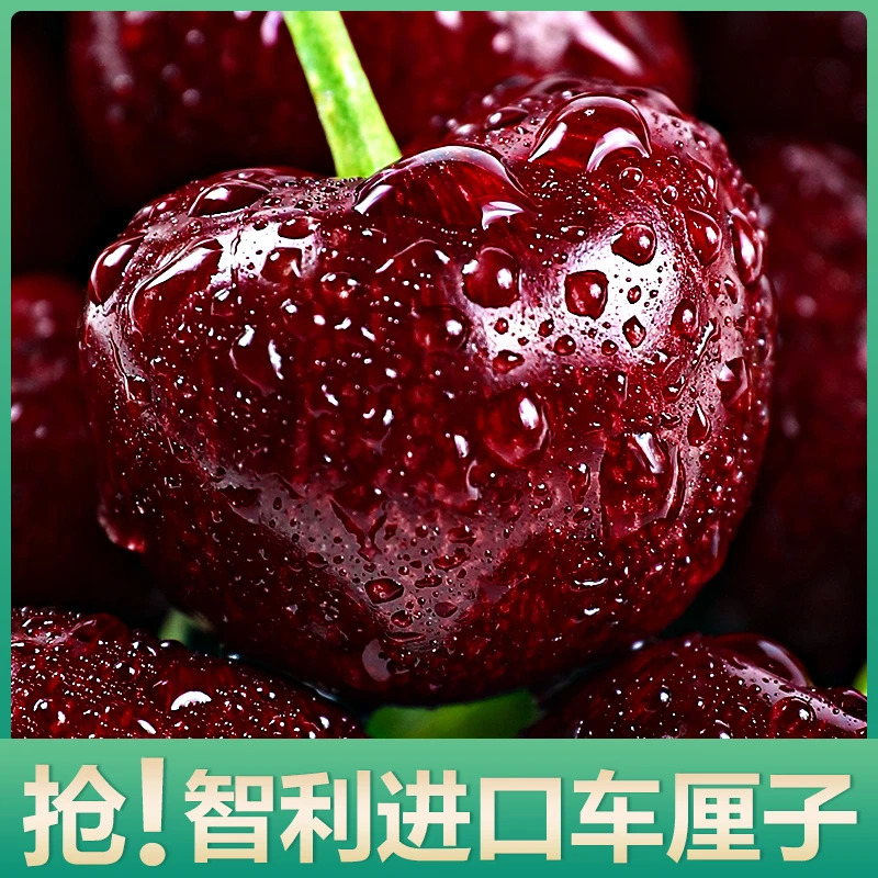 【宠粉福利】智利空运桑提娜Santina车厘子新鲜爆汁水果0.5斤装 4JD