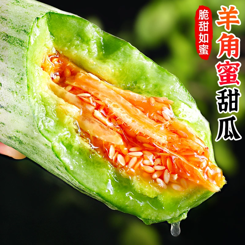 【脆甜多汁】正宗山东羊角蜜甜瓜2-5斤蜜瓜香瓜博洋5当季水果甜蜜