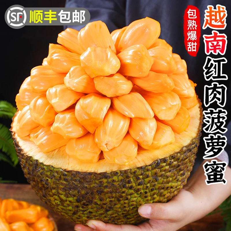 【顺丰包邮】越南红肉菠萝蜜6-18斤菠萝蜜红肉水果红心菠萝蜜波罗蜜