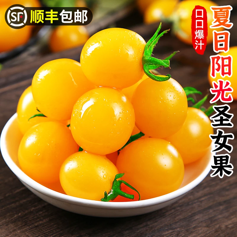 【顺丰包邮】夏日阳光圣女果1-5斤水果小番茄黄色小番茄西红柿蔬菜
