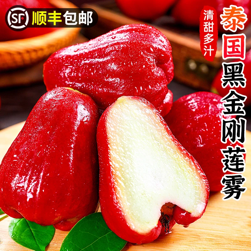 【顺丰包邮】泰国黑金刚莲雾果1-5斤新鲜热带水果红宝石清甜多汁