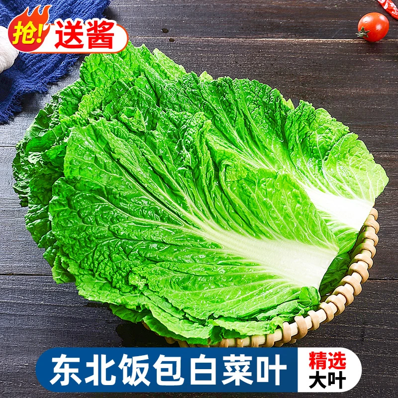 【清香脆嫩】东北饭包大白菜叶子20/40片打饭包即食蘸酱菜新鲜蔬菜