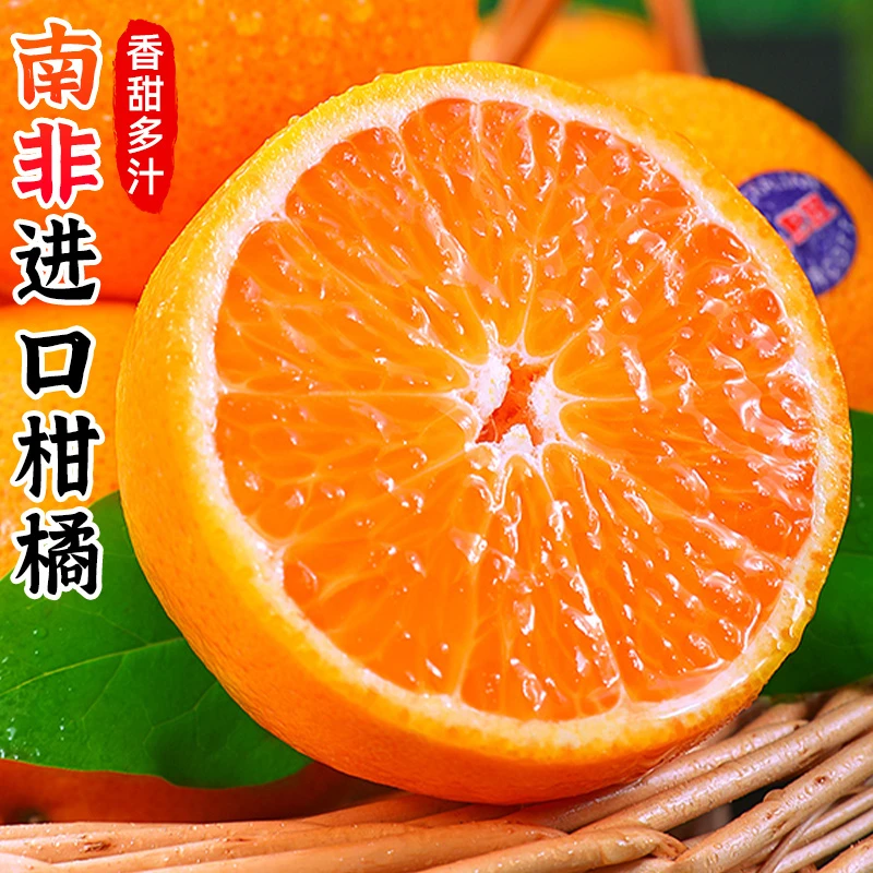 【纯甜无酸】南非进口柑橘1-5斤皮薄桔子蜜橘柑子新鲜采摘当季水果