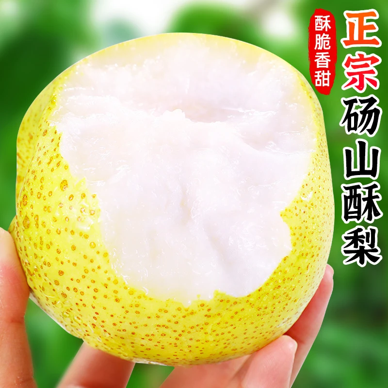 【脆甜多汁】正宗砀山酥梨2-9斤梨子砀山梨雪梨香梨新鲜当季水果