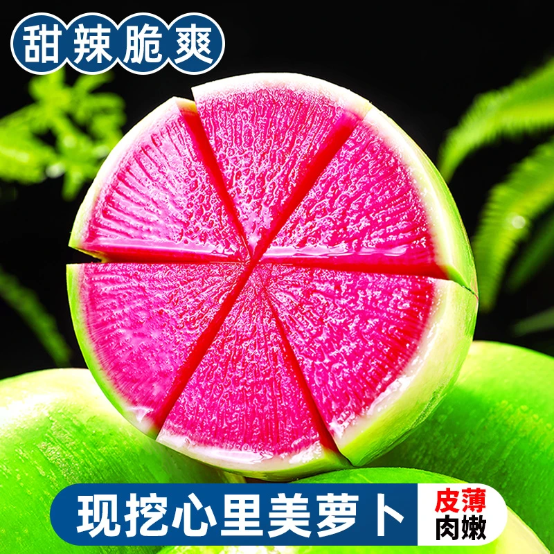 【甜辣脆爽】现挖心里美萝卜2-9斤水果萝卜青萝卜生吃泡菜新鲜蔬菜
