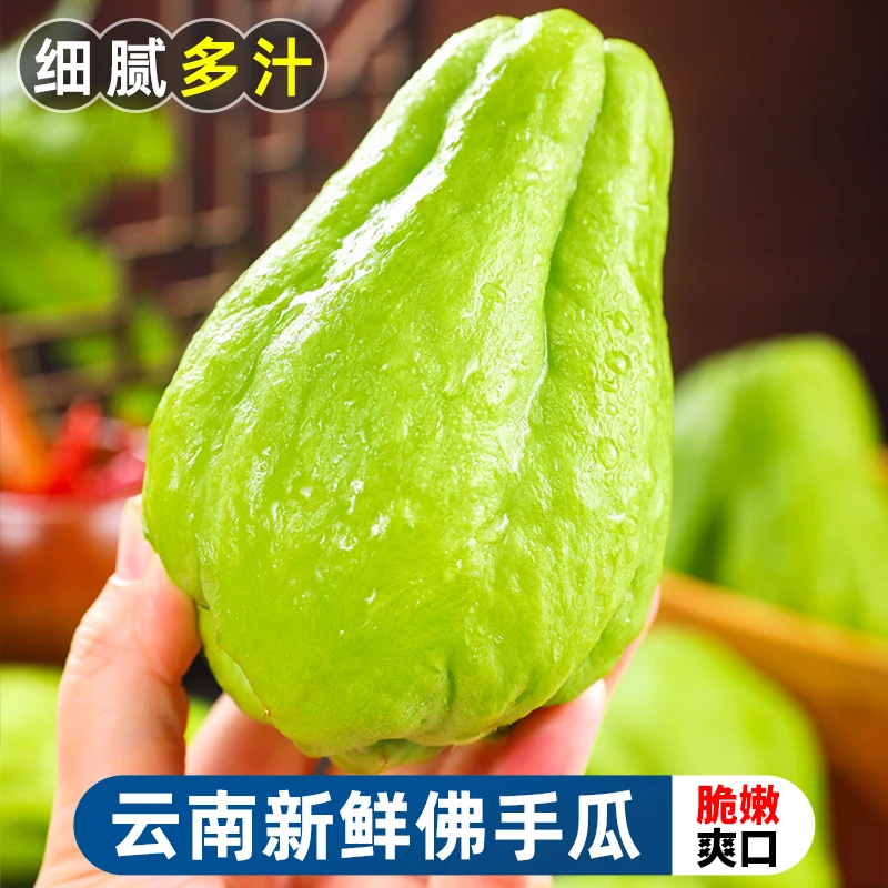 【脆嫩爽口】新鲜佛手瓜1-9斤洋瓜捧瓜丰收窝瓜寿瓜农家自种蔬菜