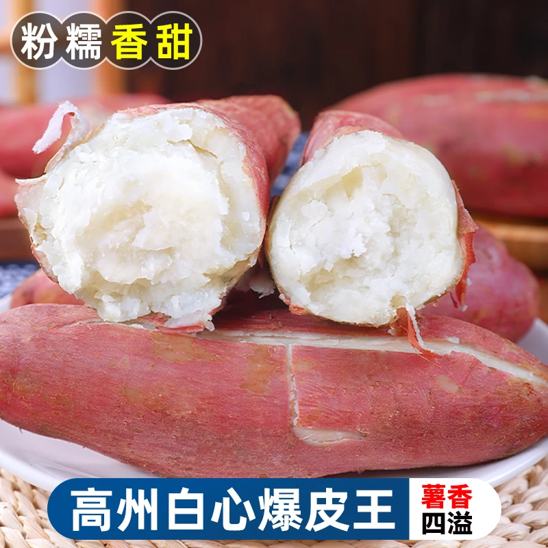 【香甜粉糯】高州白心爆皮王2-9斤番薯白心红薯板栗薯地瓜新鲜蔬菜