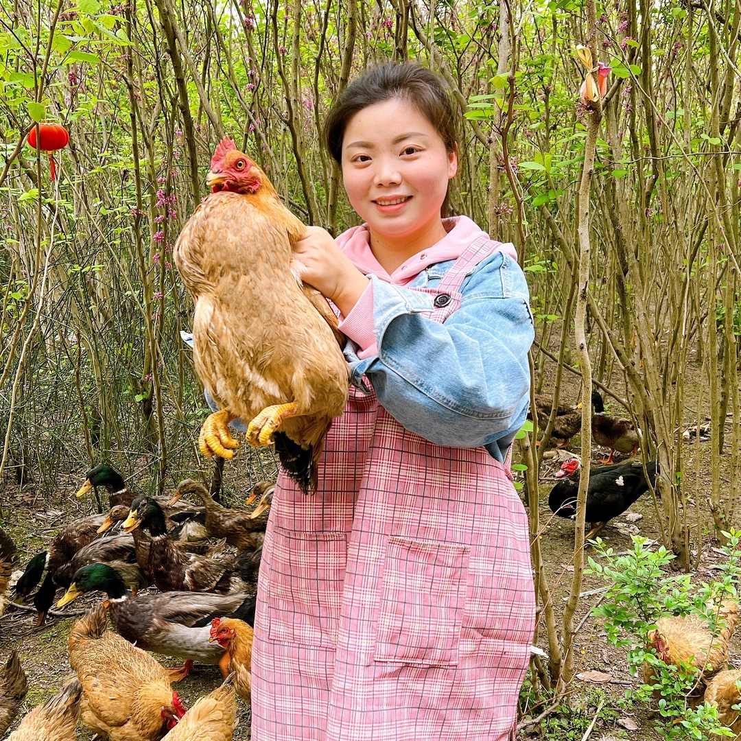 【幺妹家】农家散养土老母鸡正宗走地鸡