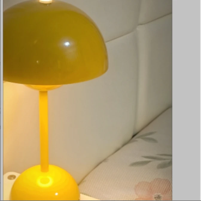 花苞灯奶油风家用主卧可充电床头小夜灯