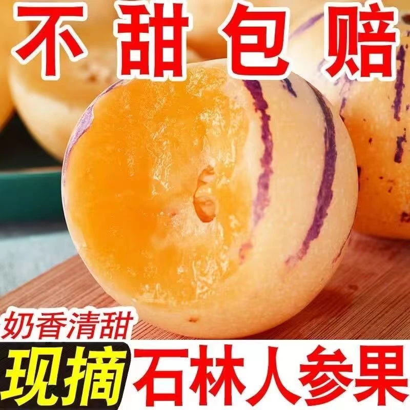 云南石林人参果圆果黄肉黄心超甜新鲜应季孕妇水果皮薄多汁爆汁