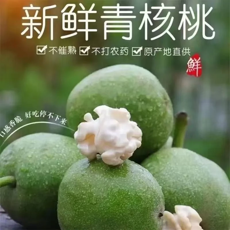 贵州新鲜核桃2024现货去皮六盘水青皮薄皮孕妇现摘黑桃原味当季