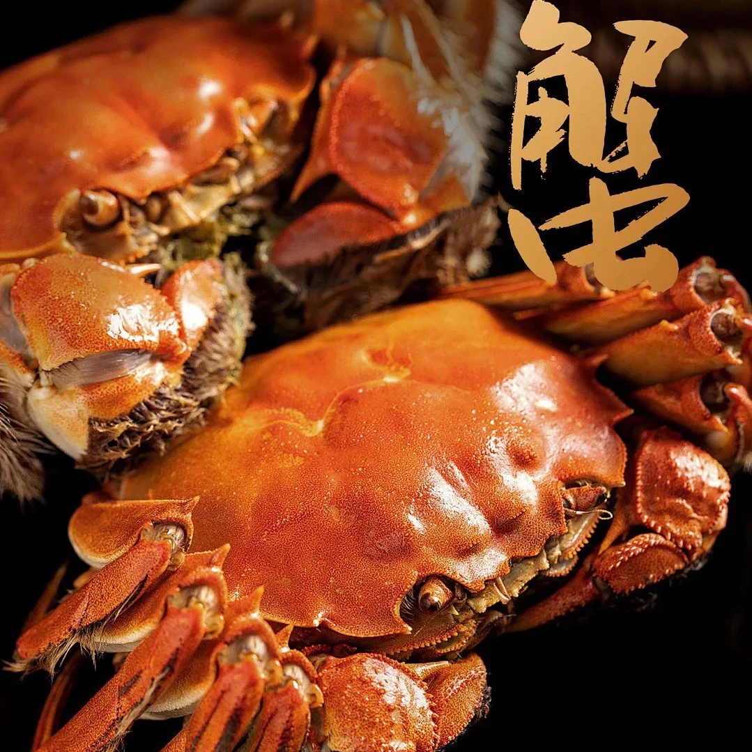 【活蟹现发】高标精养蟹3-3.3两母5只3.5-3.8两公5只公母套餐YN