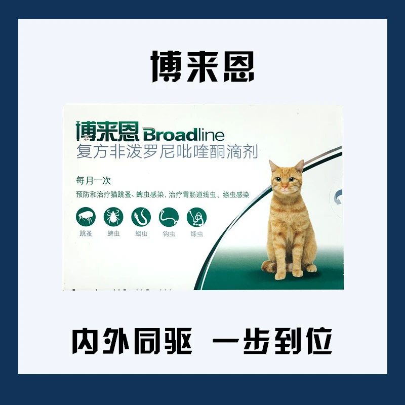 博莱恩猫咪体内外一体驱虫药猫体内体外驱虫滴剂博来恩体外驱虫药