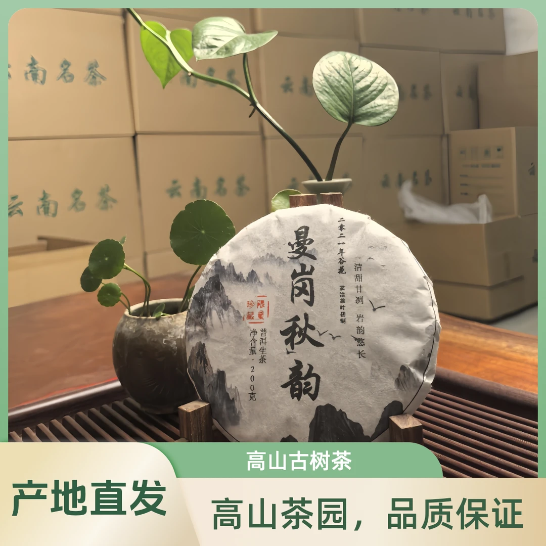 2021年曼岗秋韵200g茶饼