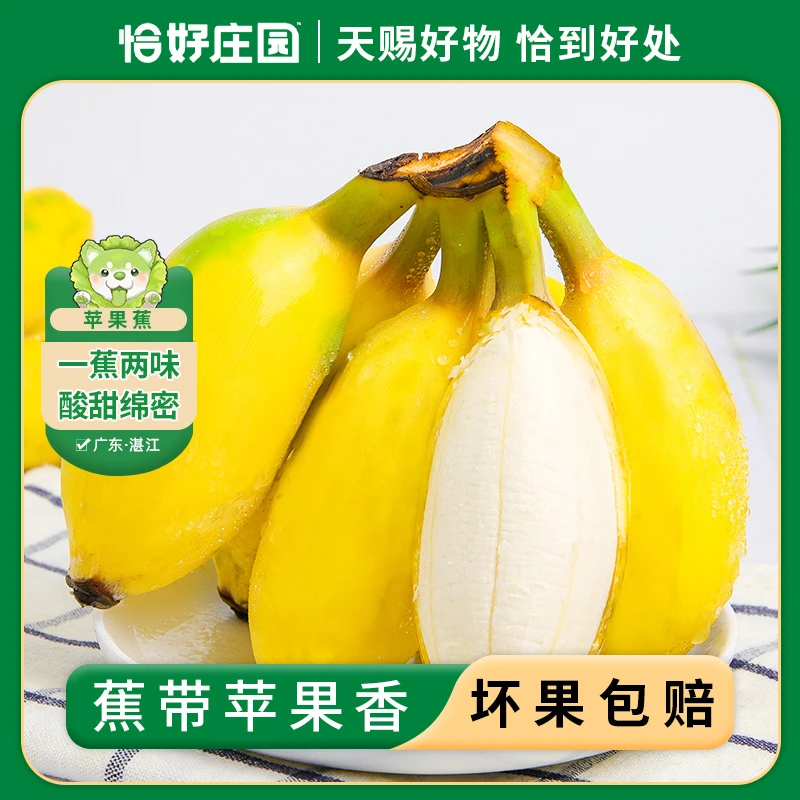 【恰好庄园】广东苹果蕉3/5斤新鲜水果芭蕉饱满批发需催熟食用