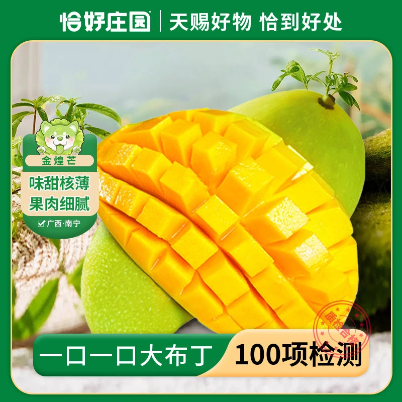 【恰好庄园】广西青皮金煌芒果新鲜水果时令水仙芒当季青芒果