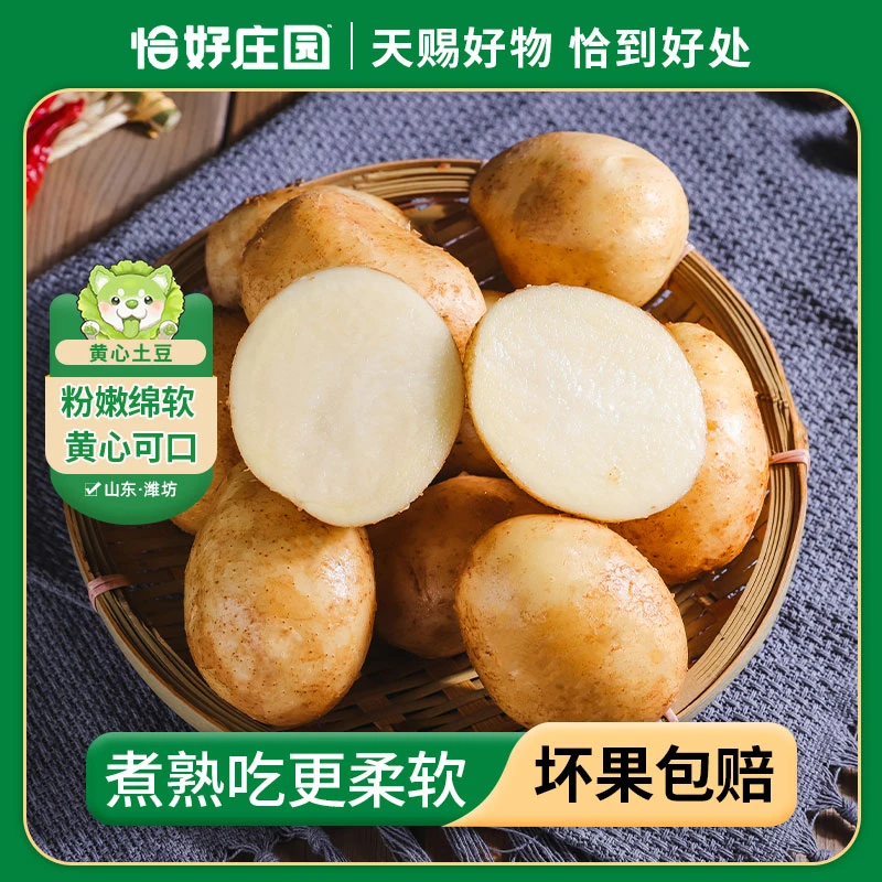 【恰好庄园】山东黄皮小土豆4.5斤装新鲜现挖