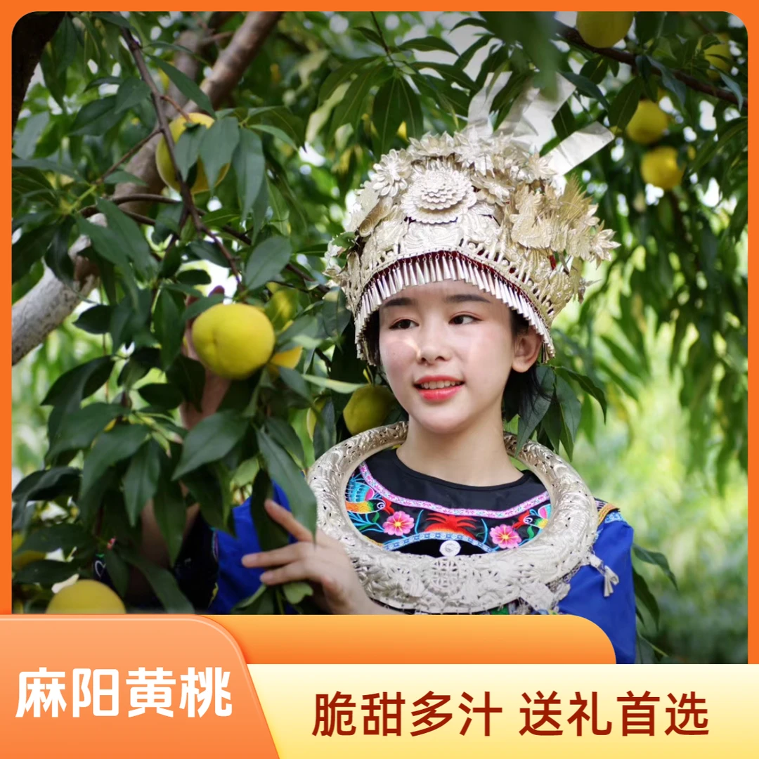 湖南麻阳高山锦绣黄桃 新鲜水果 当日现摘先发 脆甜多汁