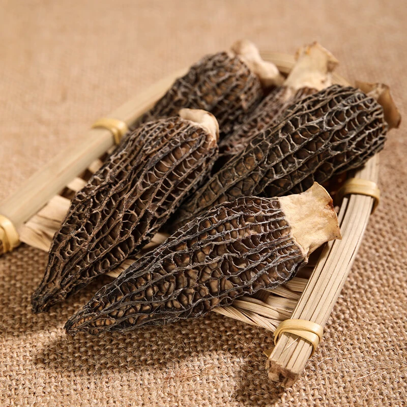 高山羊肚菌新鲜干货头茬煲汤食材高档礼品鲜美