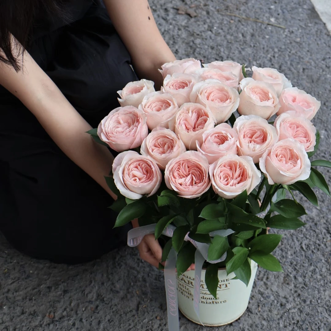 【今喜花舍】凯瑟琳 单头玫瑰 云南直发 两单起发 顺丰冷链 治愈