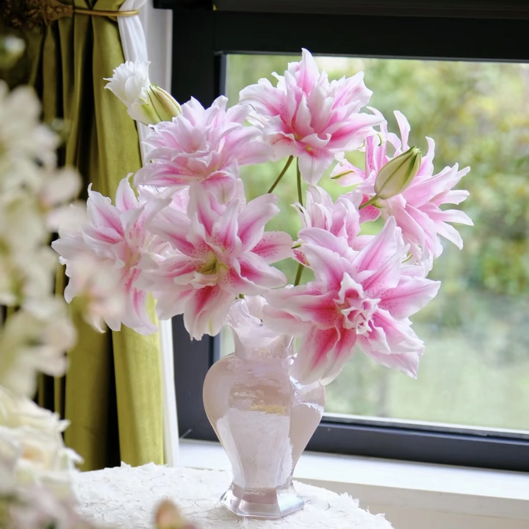 【今喜花舍】伊莎贝拉 重瓣香水百合 云南基地直发两单顺丰