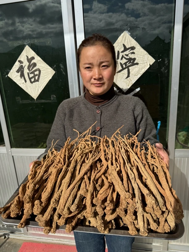 【老党参】可搭配当归黄芪枸杞使用岷县原产地直发