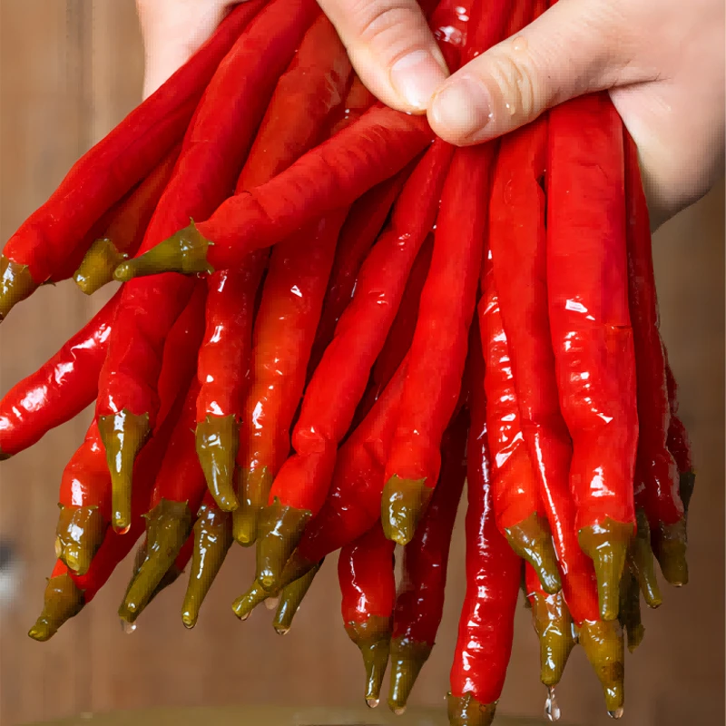 湖南土特产老坛酸辣椒农家手工邵阳农产品开胃贵州腌辣椒下饭菜